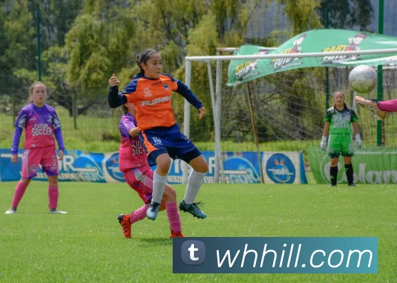 威廉希尔体育APP 封面图